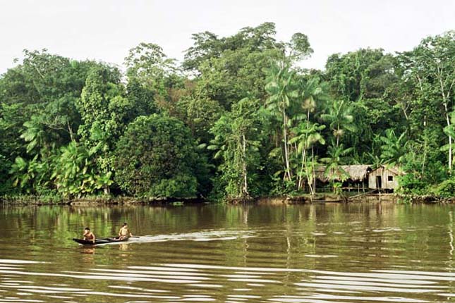 Amazonas