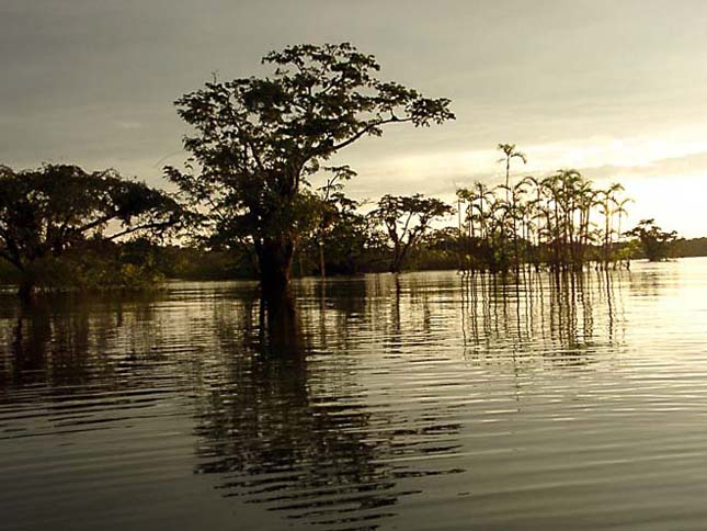 Amazonas