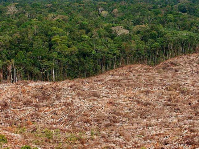 Amazonas