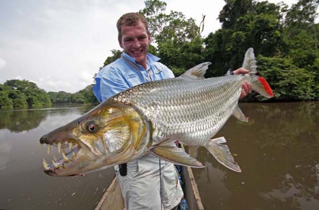 Amazonas