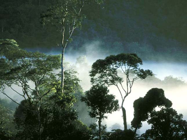 Amazonas