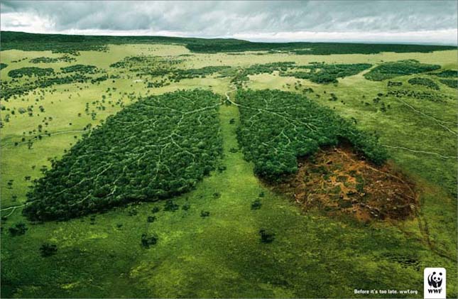 Amazonas