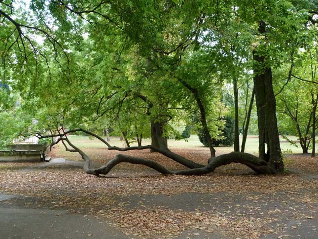 A martonvásári Brunszvik-kastély