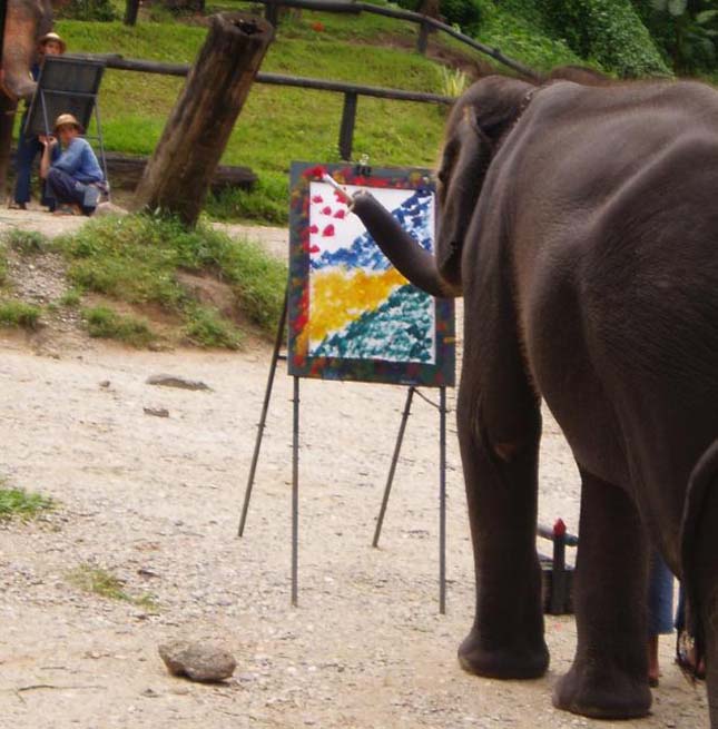 Festő elefántok