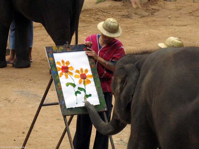 Festő elefántok