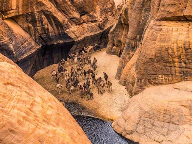 Guelta d'Archei