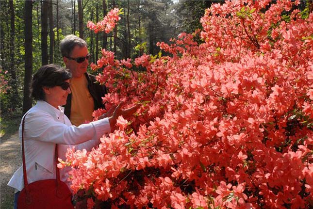 Jeli Arborétum