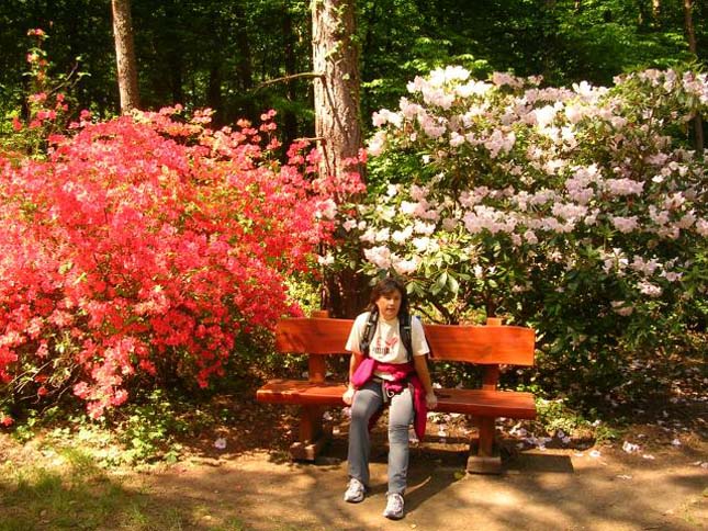 Jeli Arborétum