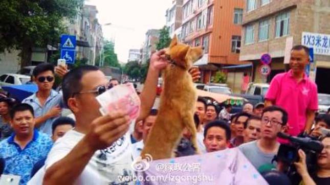 Kutyák kínzása a kínai Jülin városi kutyafesztiválon