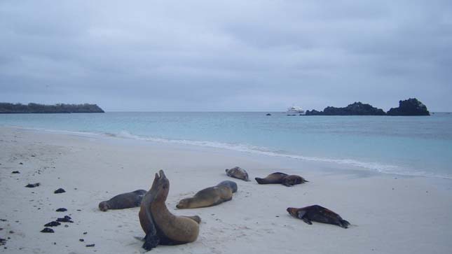 Galápagos-szigetek