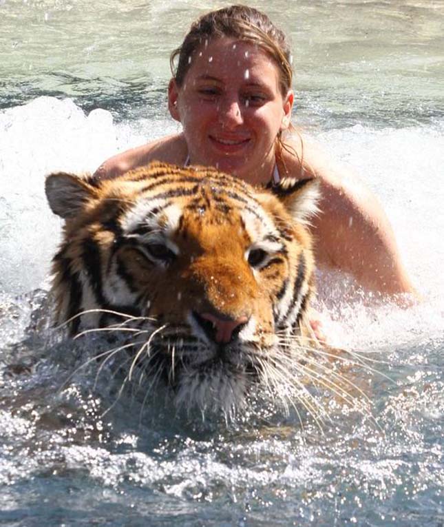Tigrisekkel él együtt egy brazil család