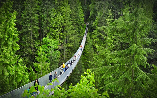 Capilano függőhíd - Vancouver, Brit Kolumbia Kanada