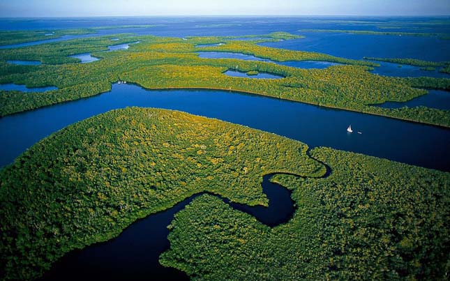 Everglades Nemzeti Park