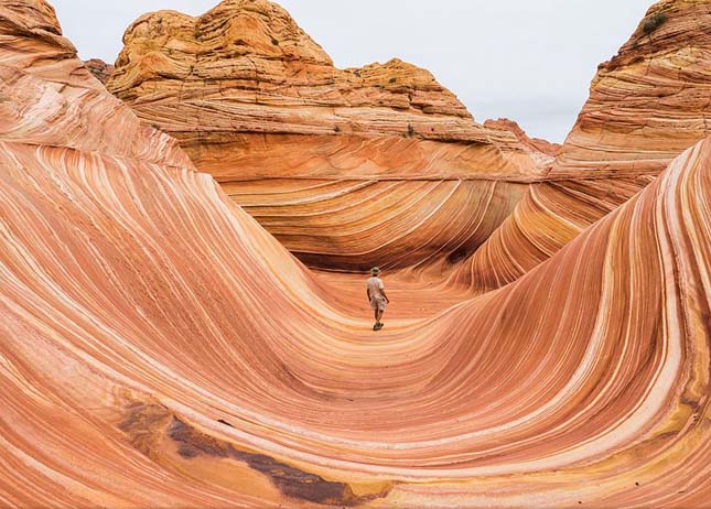 National Geographic fotópályázat 2014