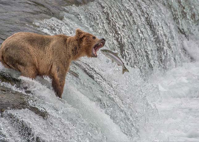 National Geographic fotópályázat 2014