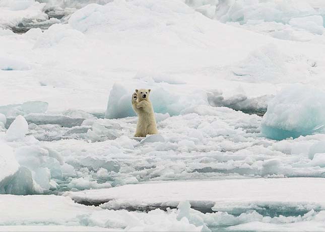 National Geographic fotópályázat 2014