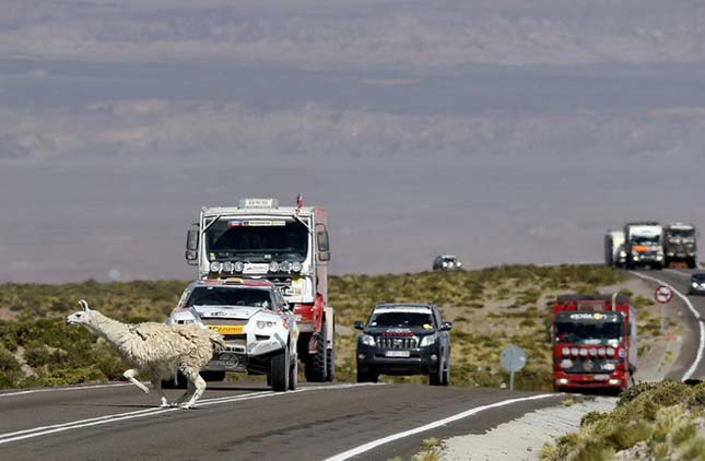 Dakar rally 2013