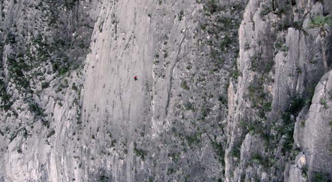 Alex Honnold