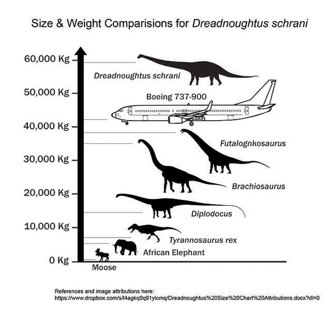 60 tonnás dinoszaurusz
