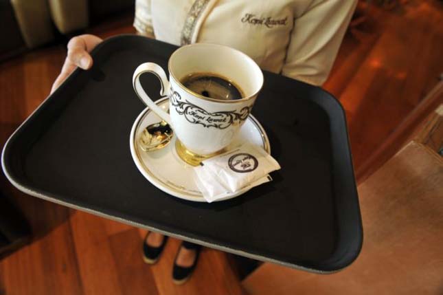A világ legdrágább kávéja - Kopi Luwak