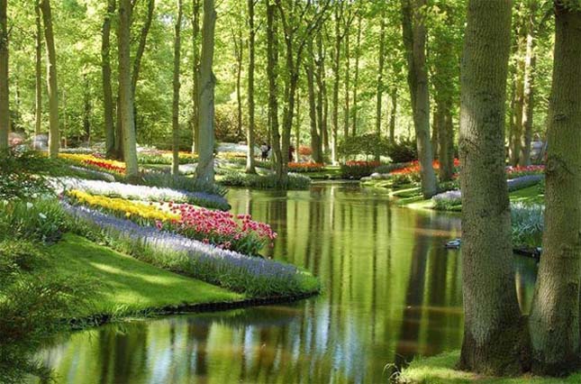 Keukenhof Gardens, Hollandia