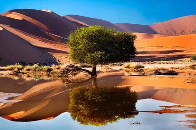 Sossusvlei, Namíb-sivatag, Namíbia