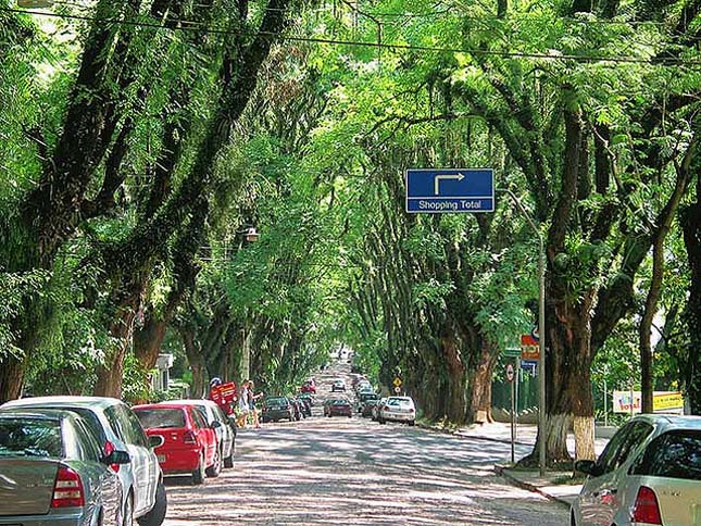 A világ legszebb utcája, Rua Goncalo de Carvalho