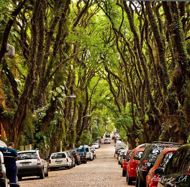 A világ legszebb utcája, Rua Goncalo de Carvalho