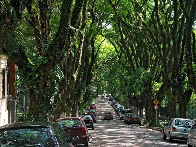 A világ legszebb utcája, Rua Goncalo de Carvalho