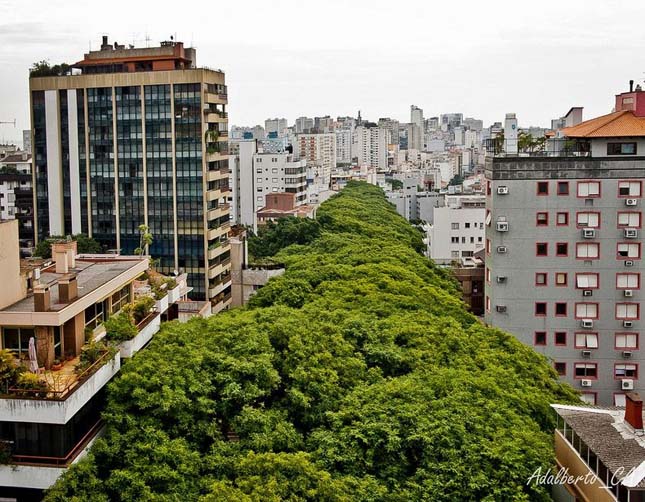 A világ legszebb utcája, Rua Goncalo de Carvalho