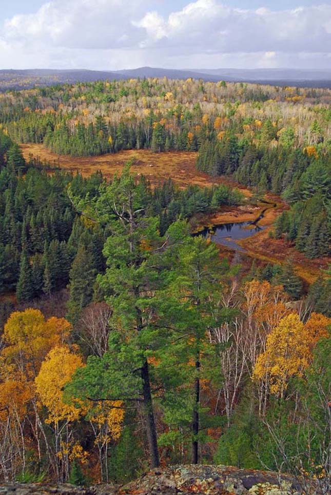 A kanadai Algonquin Provincial Park