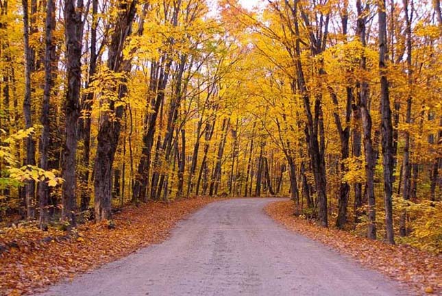 A kanadai Algonquin Provincial Park