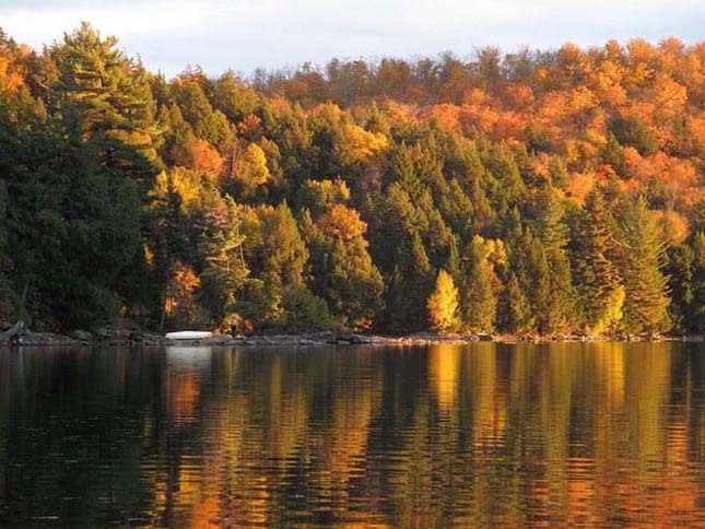 A kanadai Algonquin Provincial Park