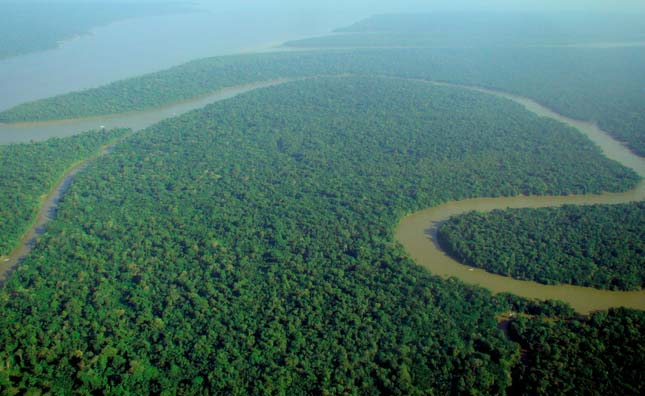 Amazóniai törzsek