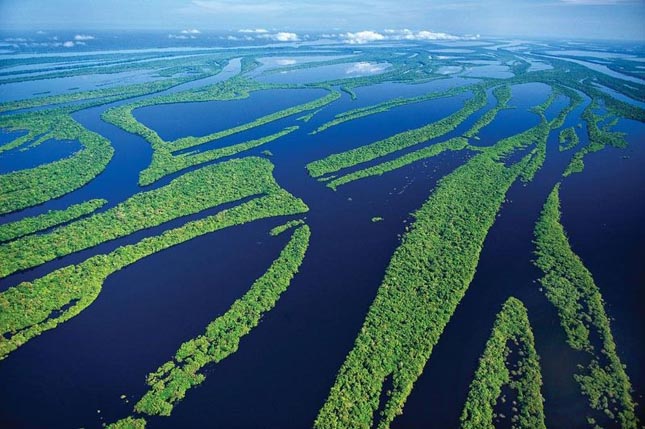 Anavilhanas Nemzeti Park