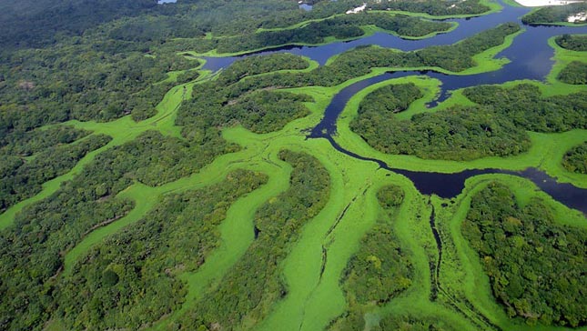 Anavilhanas Nemzeti Park