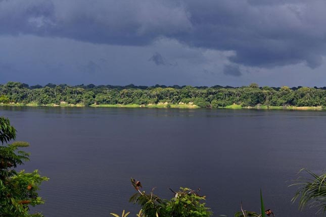 Anavilhanas Nemzeti Park