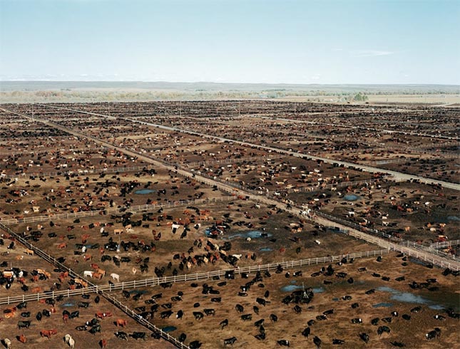 Andreas Gursky