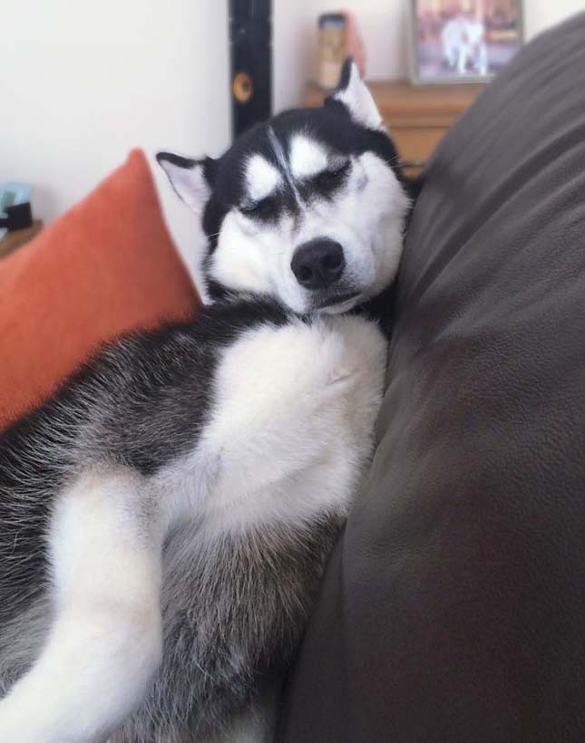 Anuko