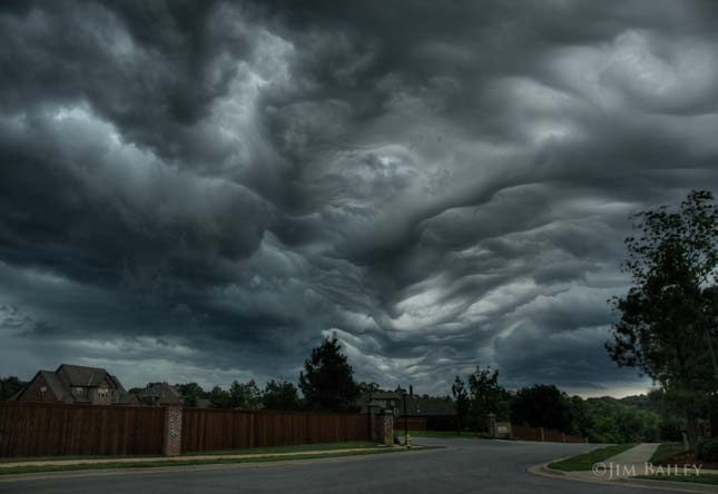 Undulatus asperatus