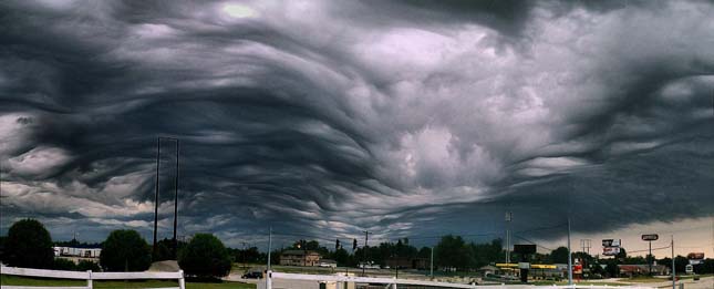 Undulatus asperatus