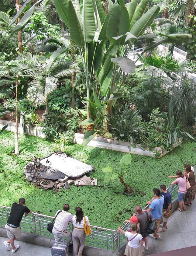 Atocha Pályaudvar, botanikus kert és vasútállomás egyben