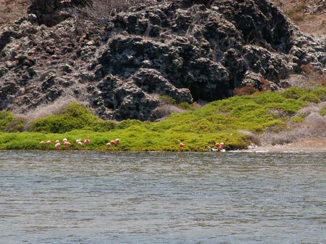 Bainbridge Rocks, Galápagos-szigetek