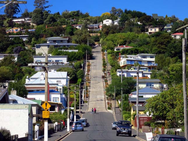 Baldwin Street, a világ legmeredekebb utcája