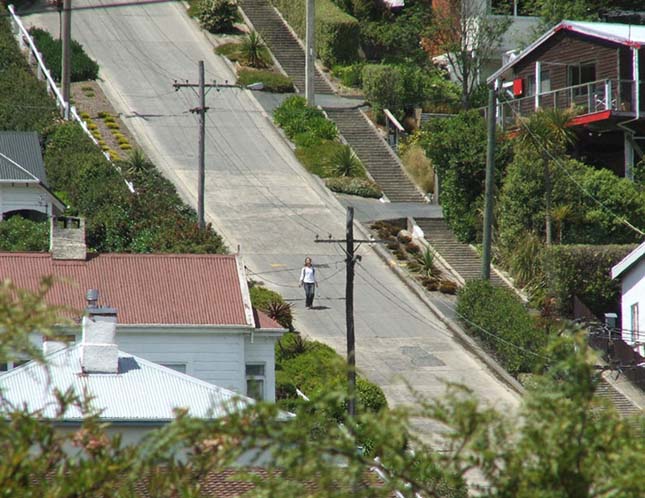 Baldwin Street, a világ legmeredekebb utcája