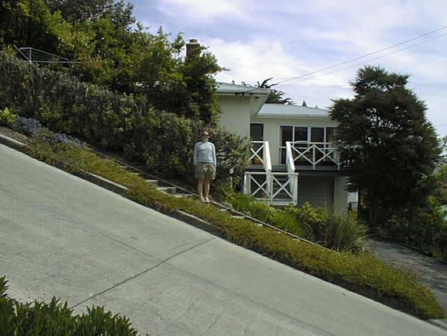 Baldwin Street, a világ legmeredekebb utcája