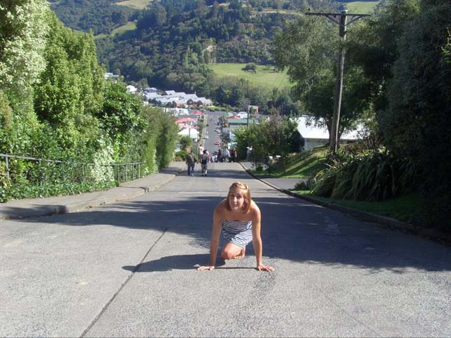 Baldwin Street, a világ legmeredekebb utcája