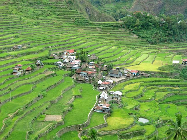 Banaue rizsteraszai