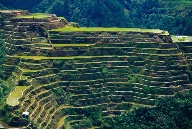 Banaue rizsteraszai