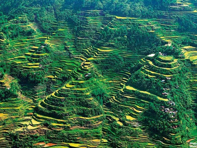 Banaue rizsteraszai